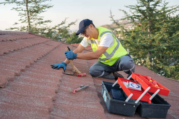 Best Flat Roof Repair Services  in Wilton Manors, FL